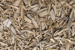 biomass boilers Pilmuir